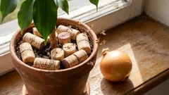 Consegui afugentar as moscas do meu canteiro de cebolas e flores com uma rolha de vinho comum (e recomendo que faça o mesmo – funciona!).